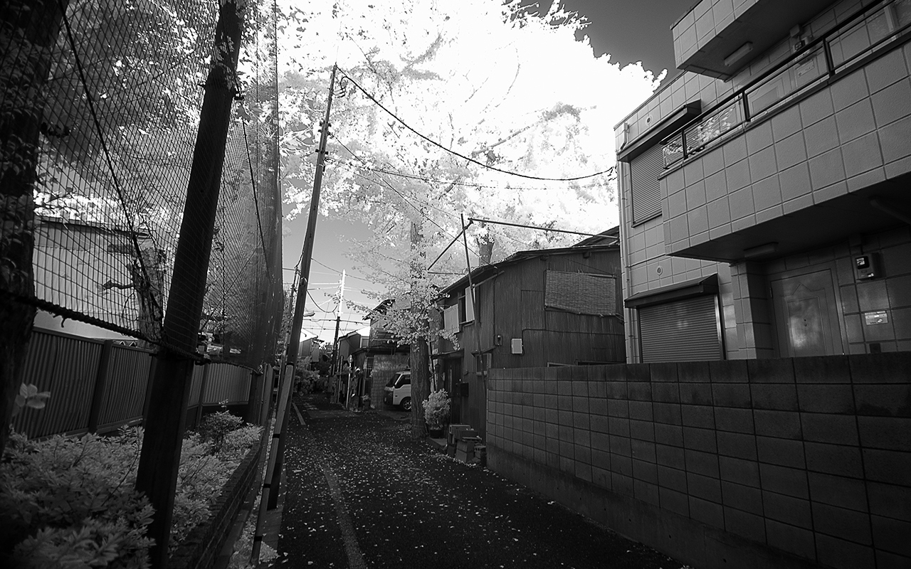 Tokyo Infrared