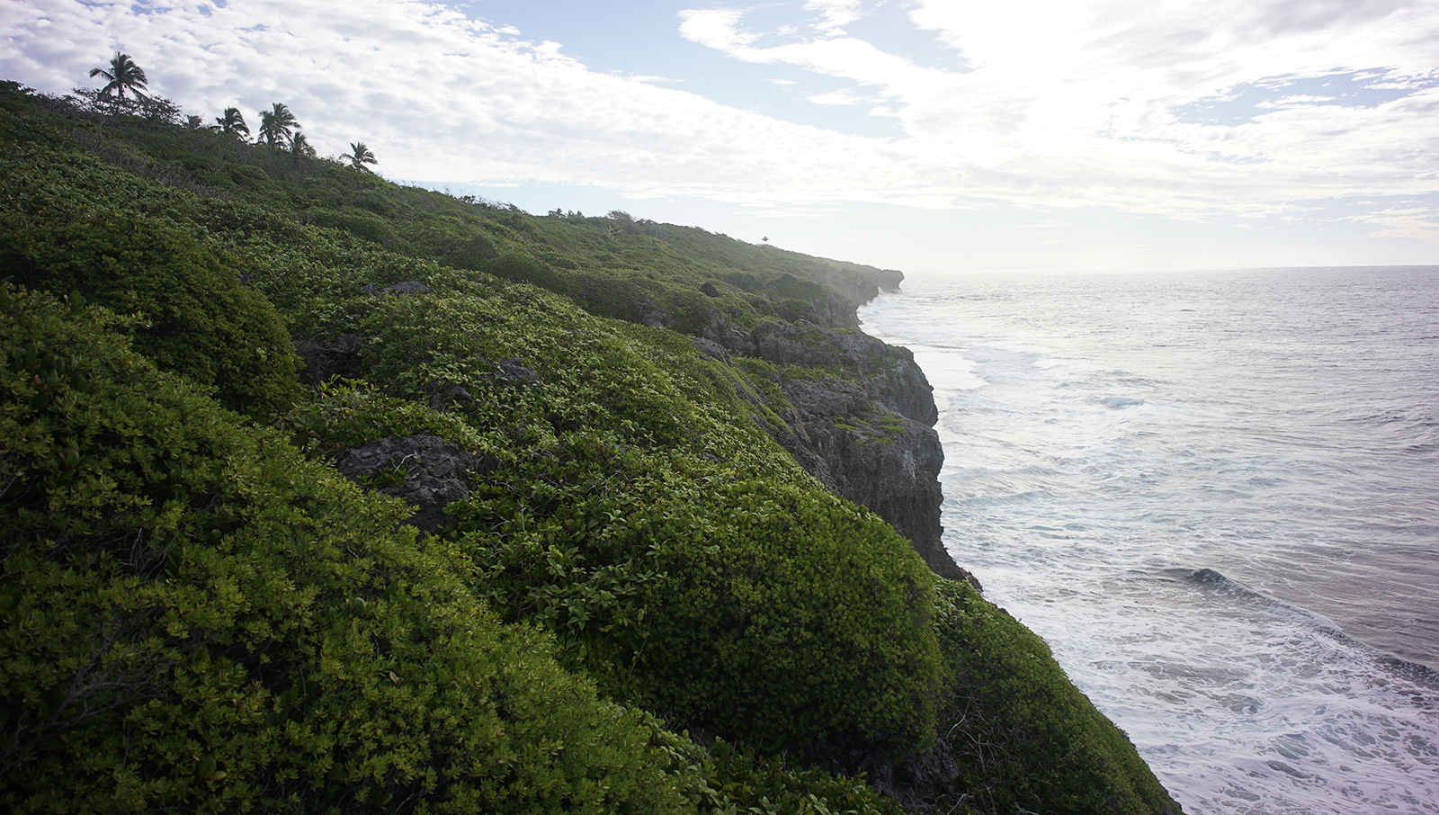 The Coastline