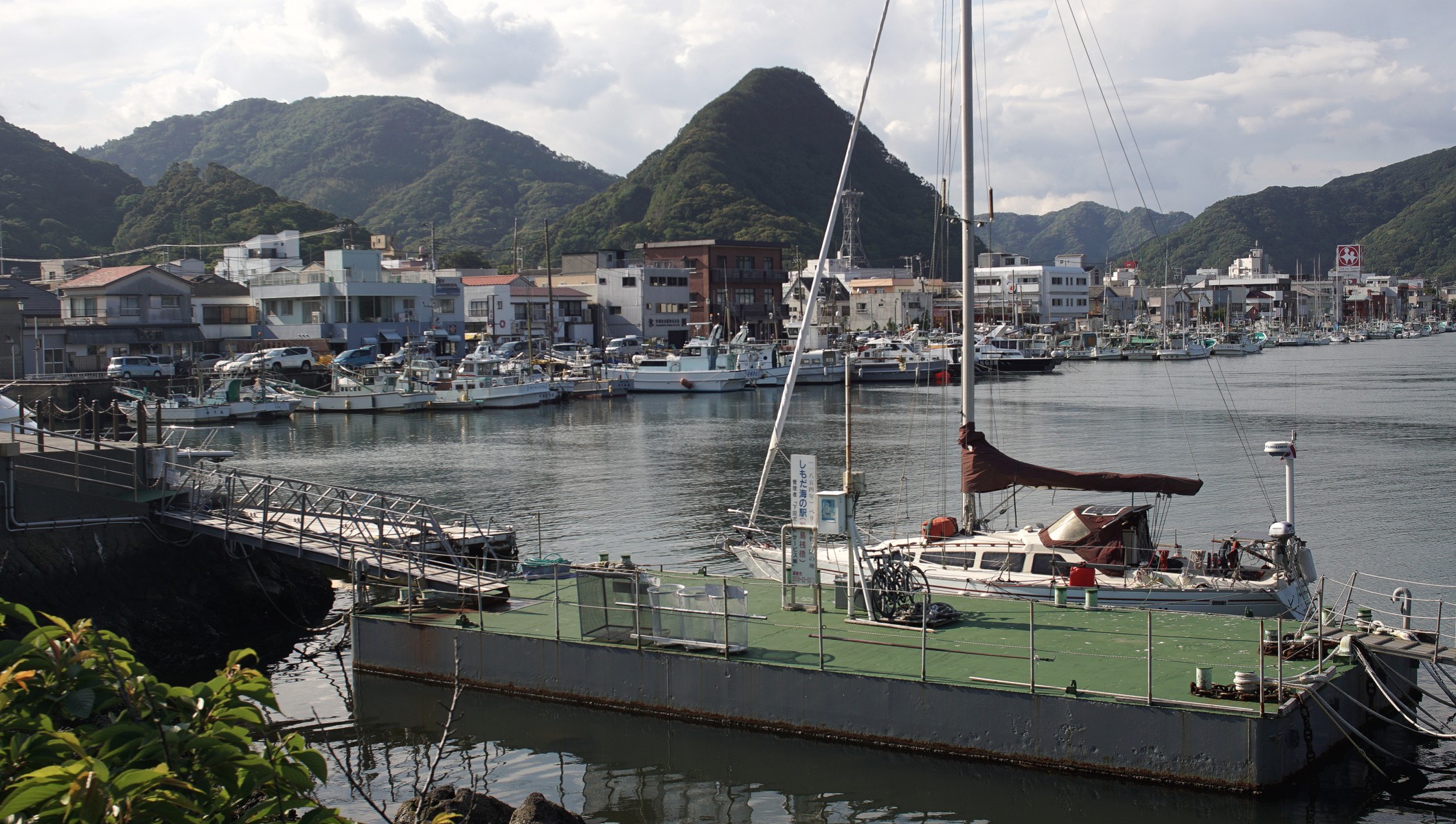 Pino in Shimoda