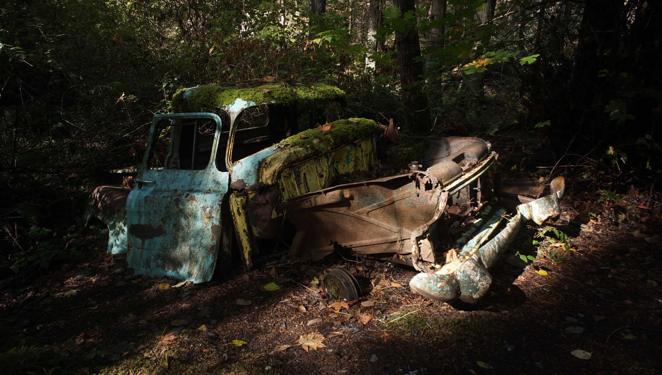 Car in Silva Bay